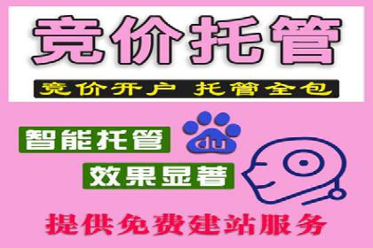 搜索引擎营销（SEM）在移动端的推广案例